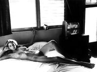 Classic Bush - 26 Pics Cluset.com