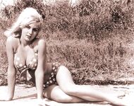 Vintage Retro Lee Meredith