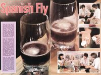 Sexy Barbro and Jytte get fucked  37