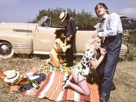 Desiree Lane and Shanna Evens  Picnic fuck  49