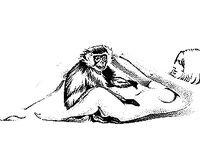 Mixed Bag Erotic Art 001  16