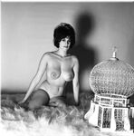 Oldies but Goldies 2  100