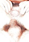 Classic fuck pictures  displaying hairy pussies and dicks  39