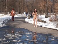 Public nudity   19