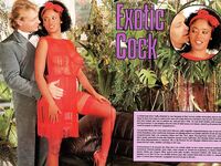 Retro magazine No.816  exotic cock  27