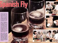 Vintage magazine No.722  spanish fly  41