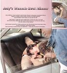 Retro magazine No.667  Judy's wunsch zwei Manner  32