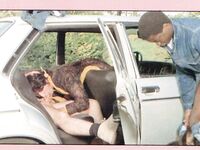 Retro magazine No.667  Judy's wunsch zwei Manner  32