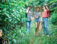 Retro magazine No.639  the enigma of Uxmal's big cucumber  40