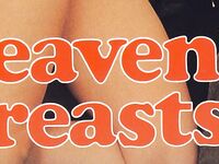 Retro magazine No.616  heavenly breasts  24