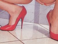 Retro magazine No.529  der hausfreund  55