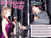 Retro magazine No.429  jailhouse orgy  30