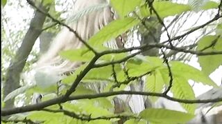 Silvia Saint - Hotdorix - scene 1