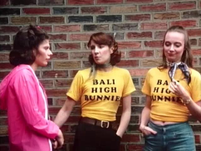 Home High School 1980s Retro Porn - High School Bunnies (1978) vintage Cluset.com